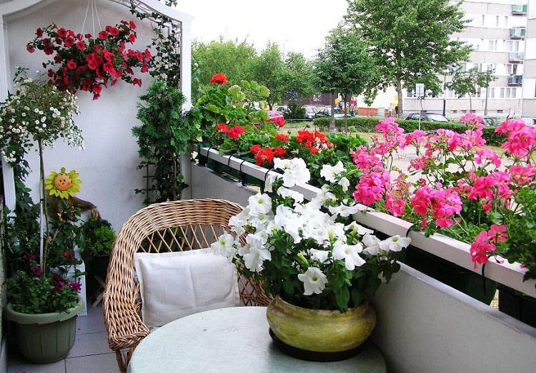 Fiori hľadá najkrajší balón - súťaž